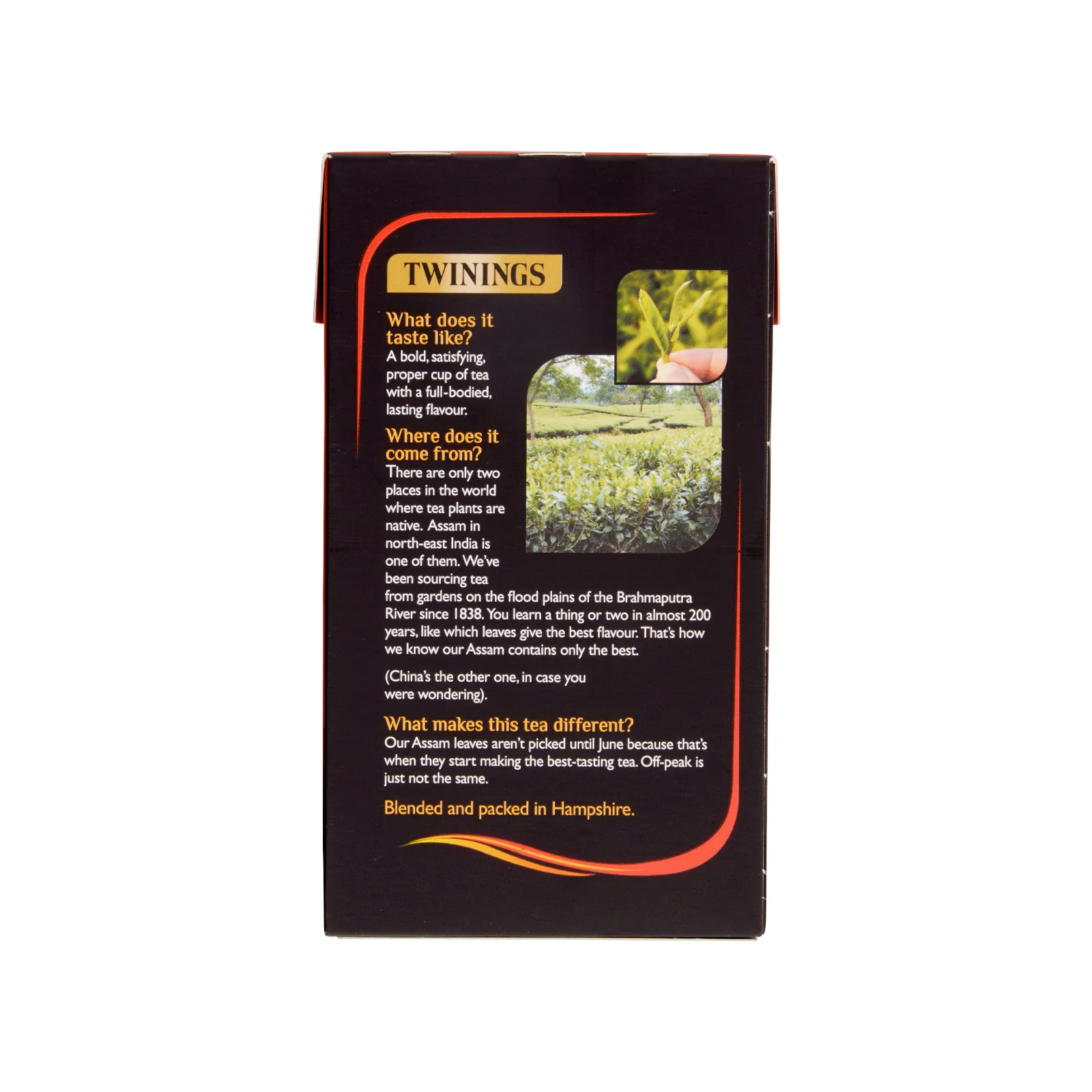 Assam - 40 Tea Bags - Image 3
