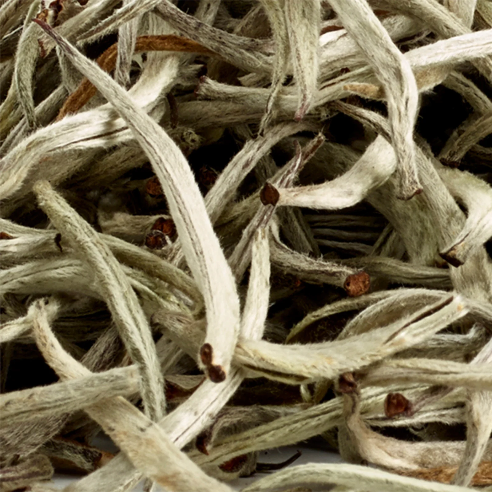 Java Silver Tips - 50g Loose Leaf Tea - Image 5