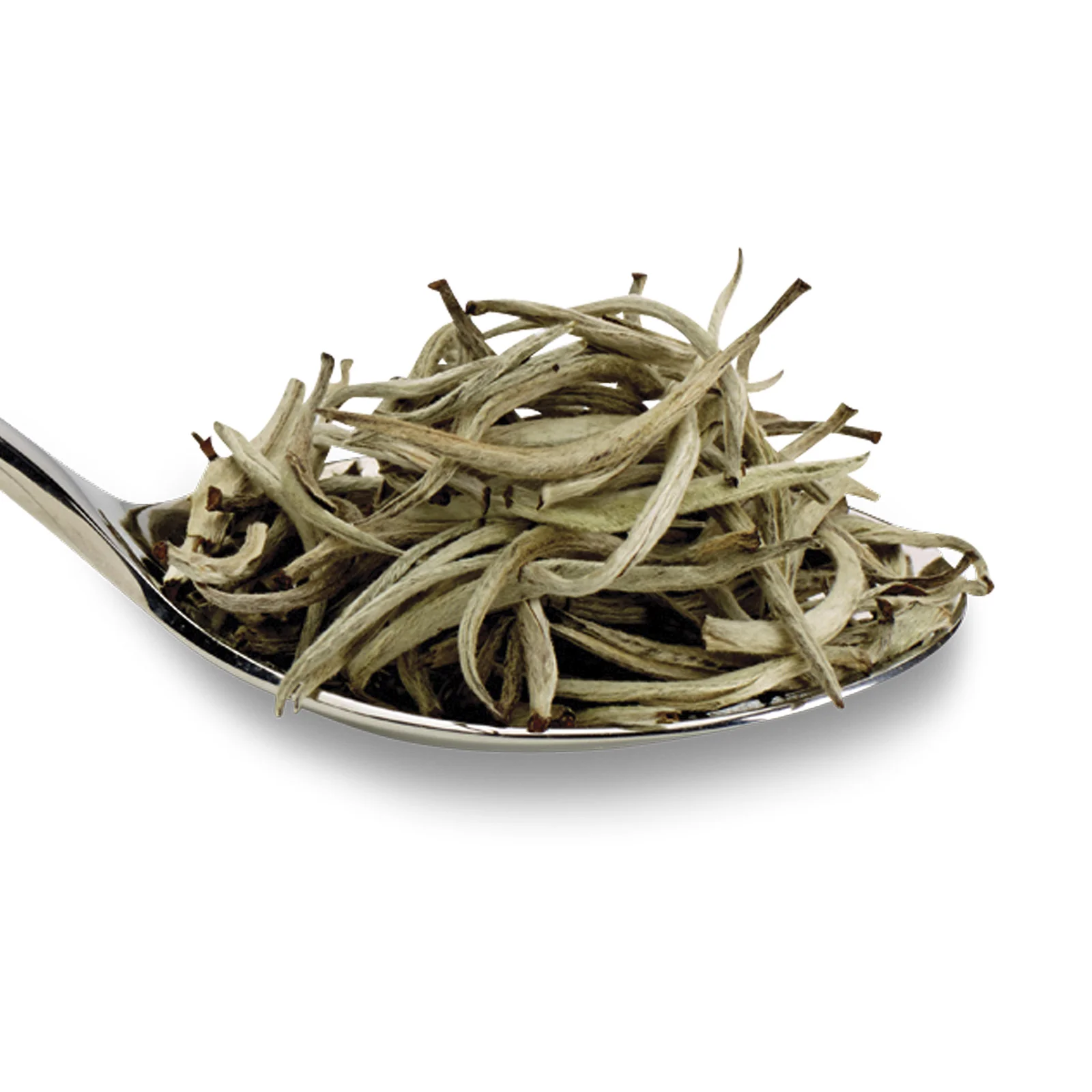 Java Silver Tips - 50g Loose Leaf Tea - Image 6