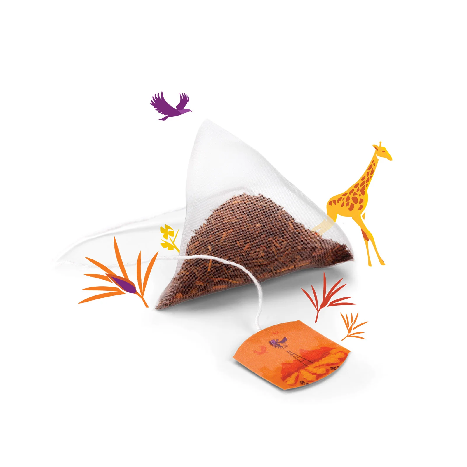 Discovery Collection Rooibos and Caramel - 15 Pyramid Bags - Image 4