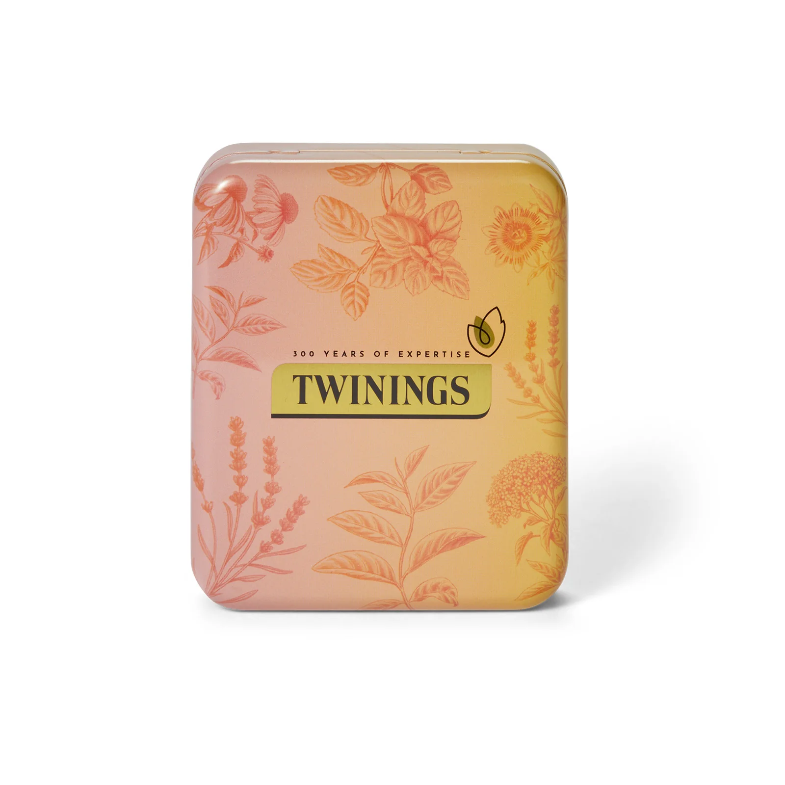 Fruit & Herbal Selection Pack With FREE Pocket Tin - Image 5