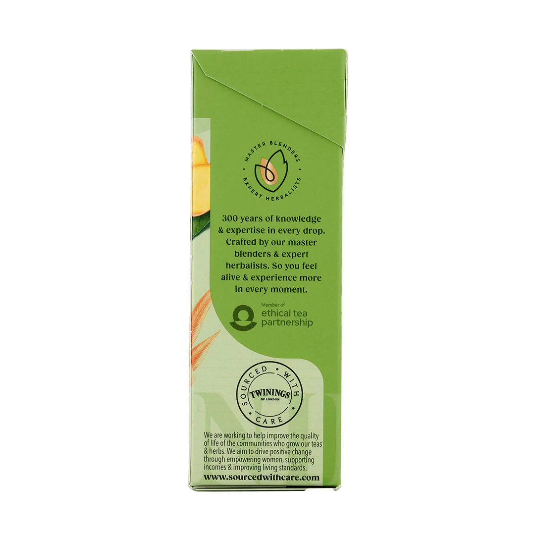 Green Tea & Ginger - 20 Tea Bags - Image 3
