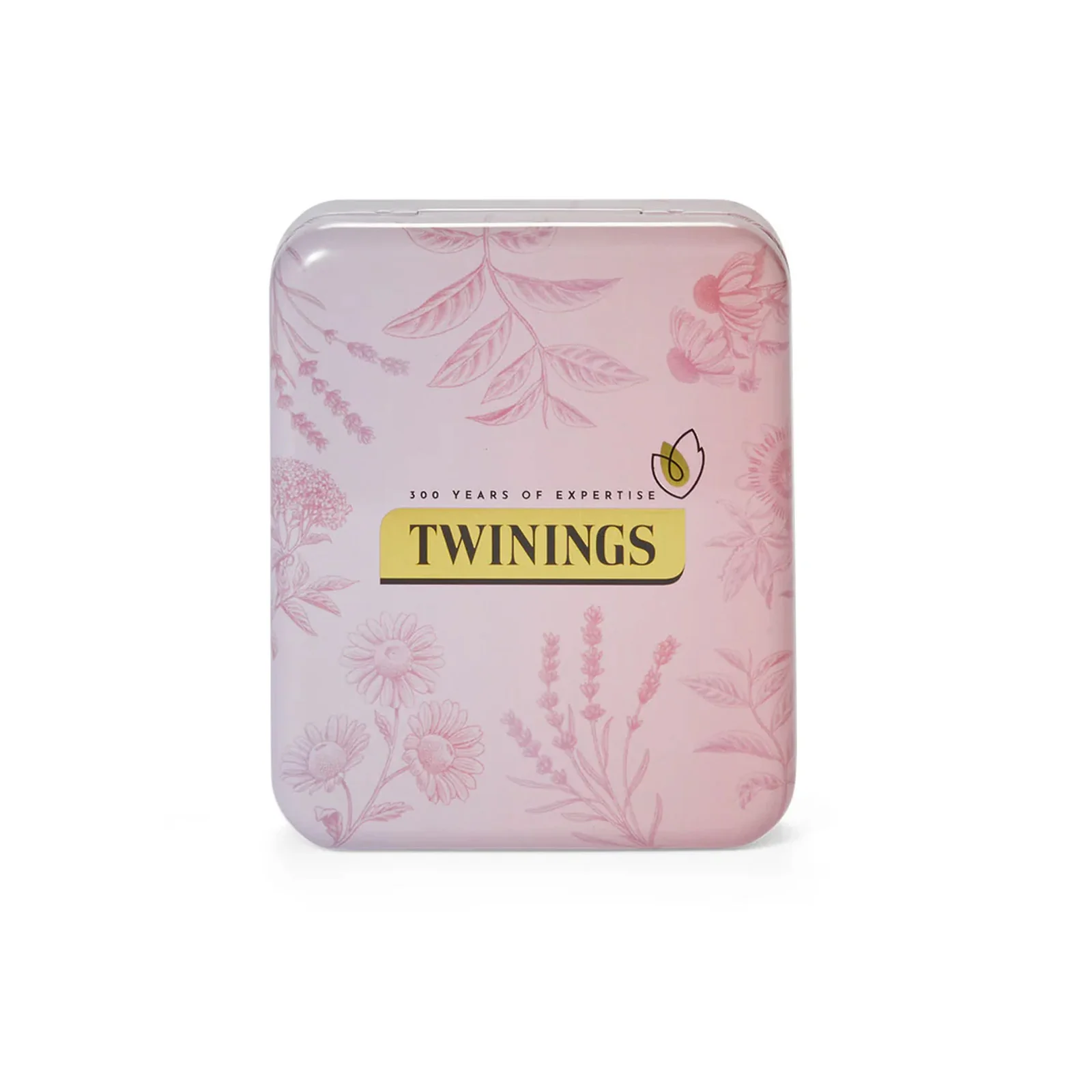 Green Tea Lovers Selection Pack With FREE Pocket Tin - Image 5