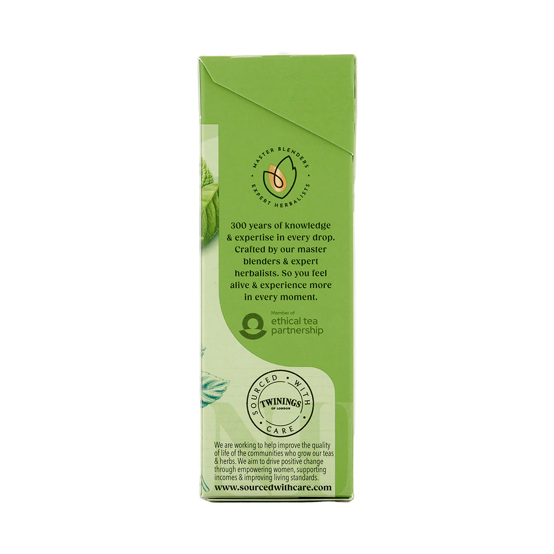 Green Tea & Mint - 20 Tea Bags - Image 3