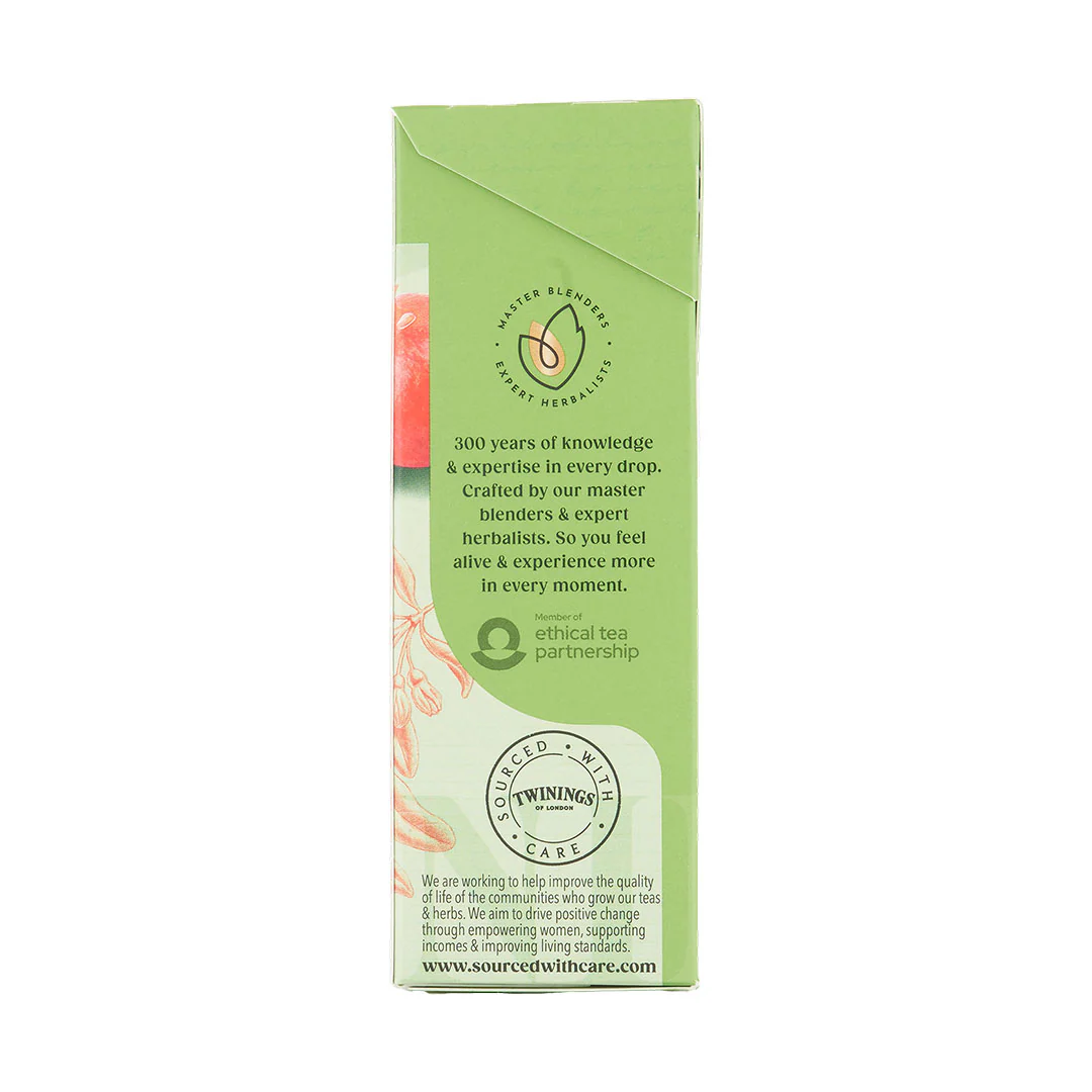 Green Tea & Pomegranate - 20 Tea Bags - Image 3
