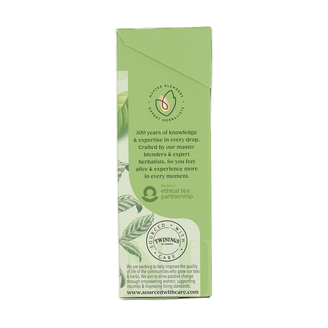Pure Green Tea - 20 Tea Bags - Image 3