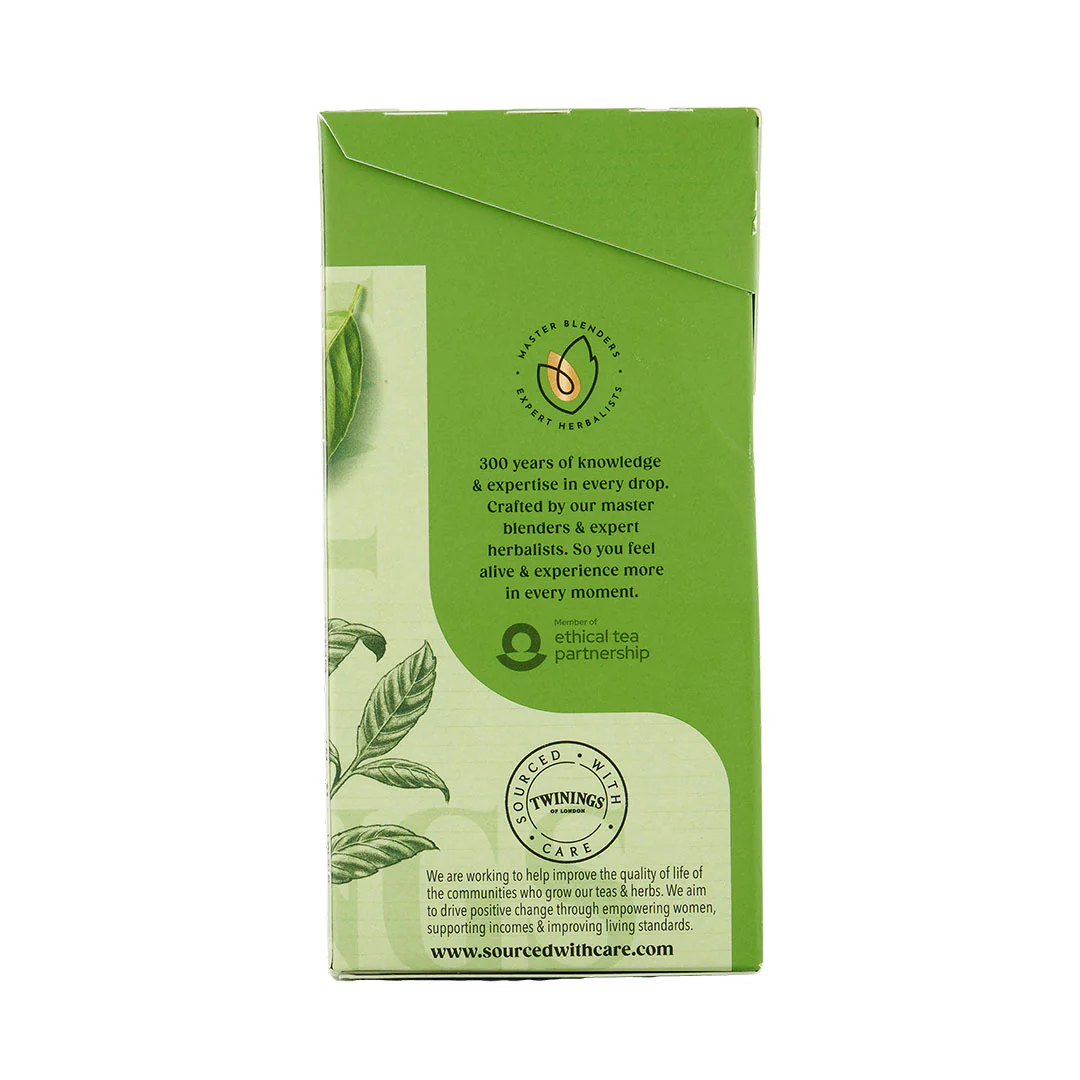 Pure Green Tea - 80 Tea Bags - Image 3