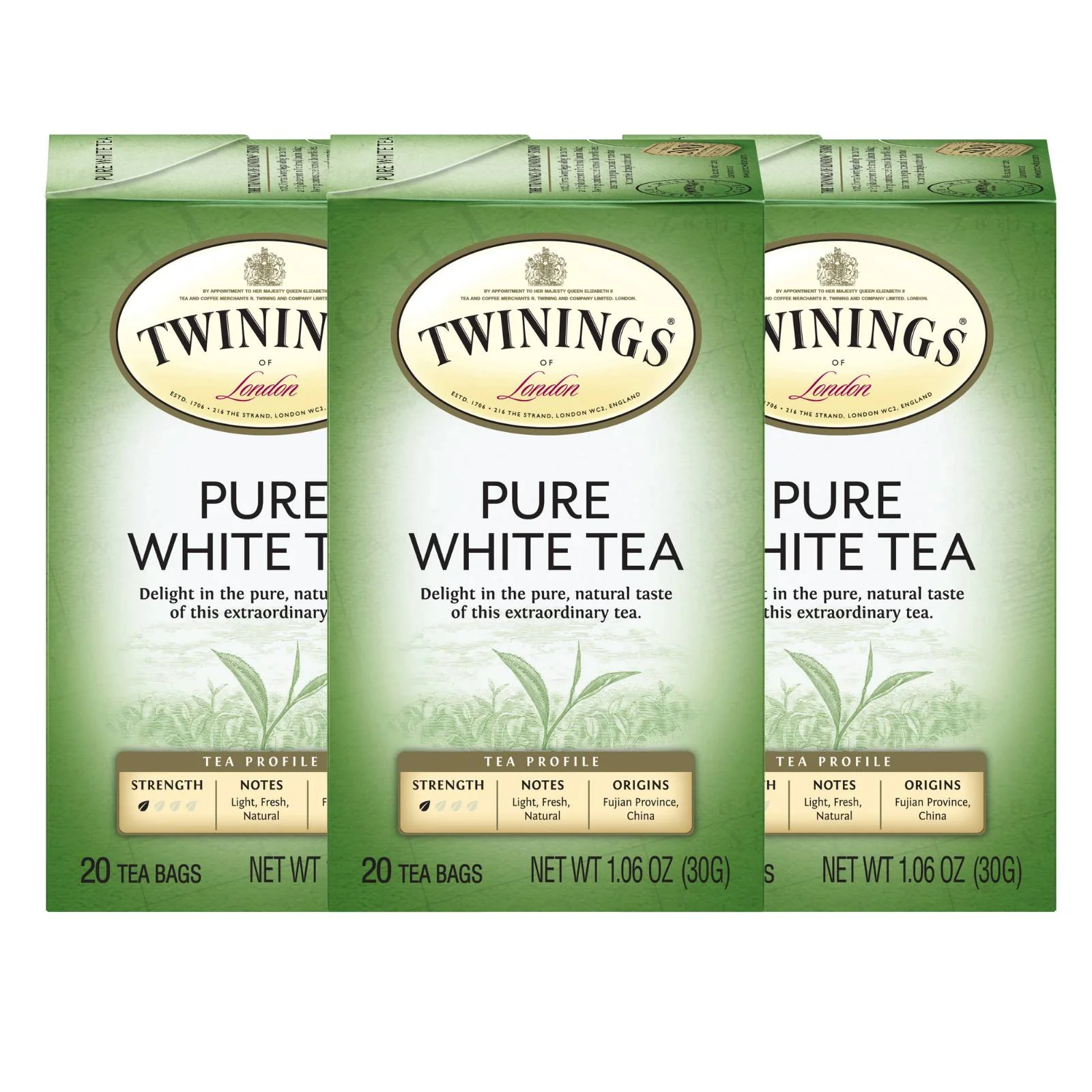 Pure White Tea (International Blend) - 20 Envelopes - Image 2