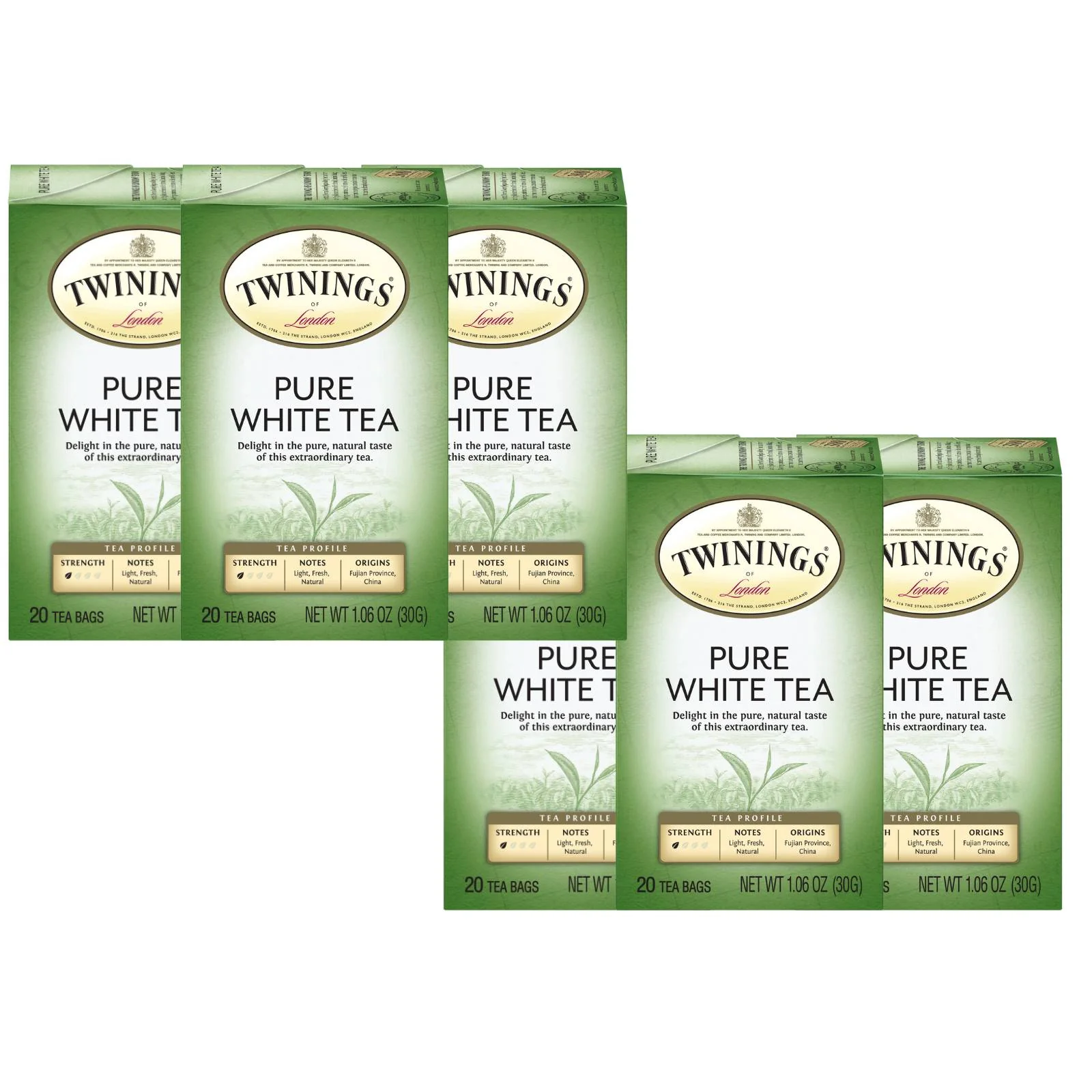 Pure White Tea (International Blend) - 20 Envelopes - Image 3