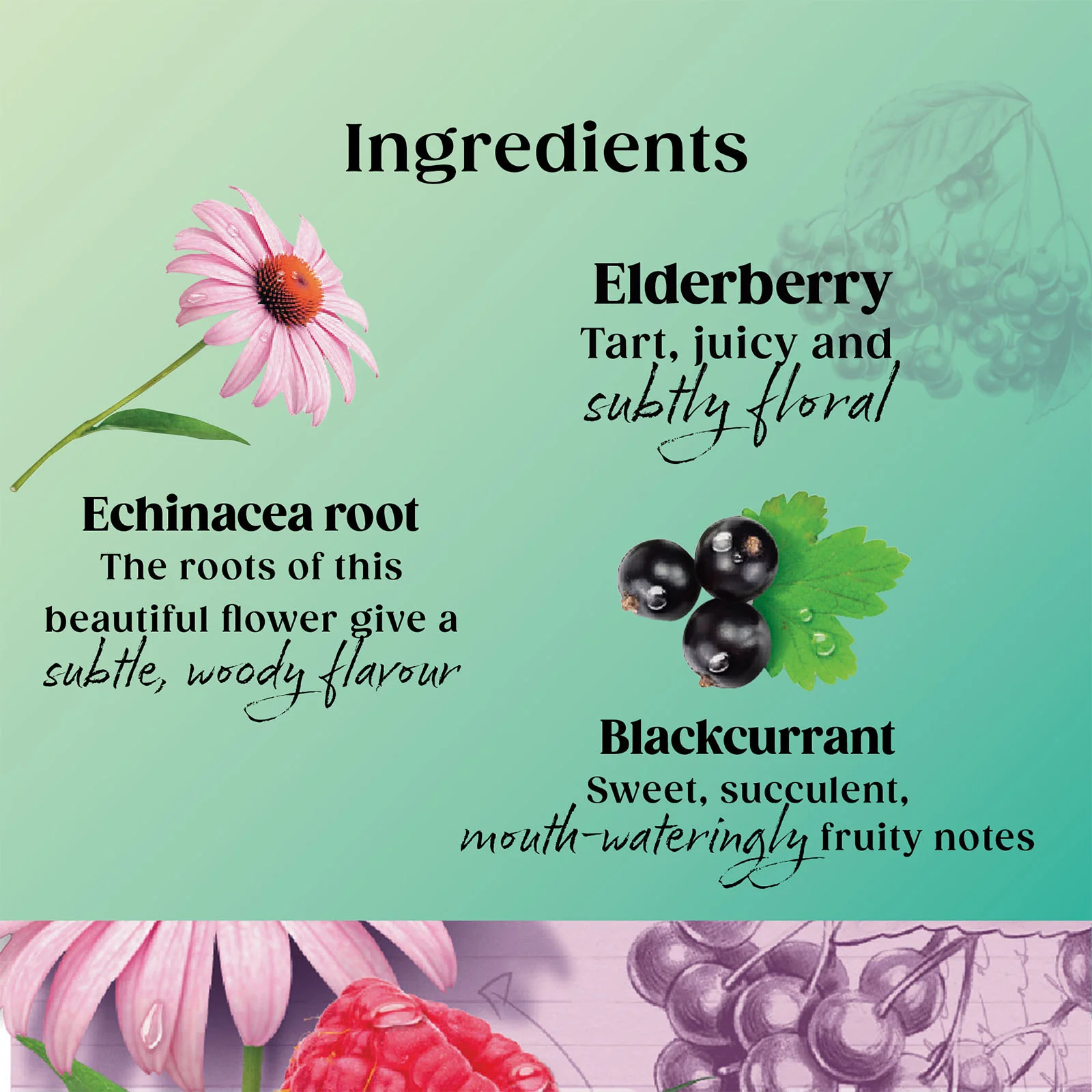 Superblends Immune Support - 20 Envelopes - Image 3