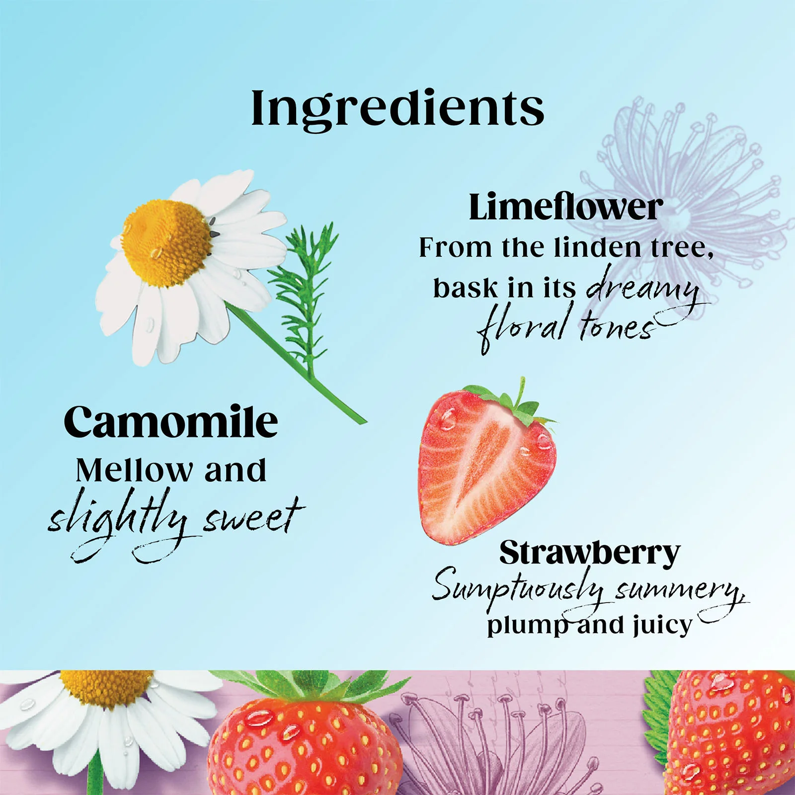 Superblends Unwind - 20 Envelopes - Image 3